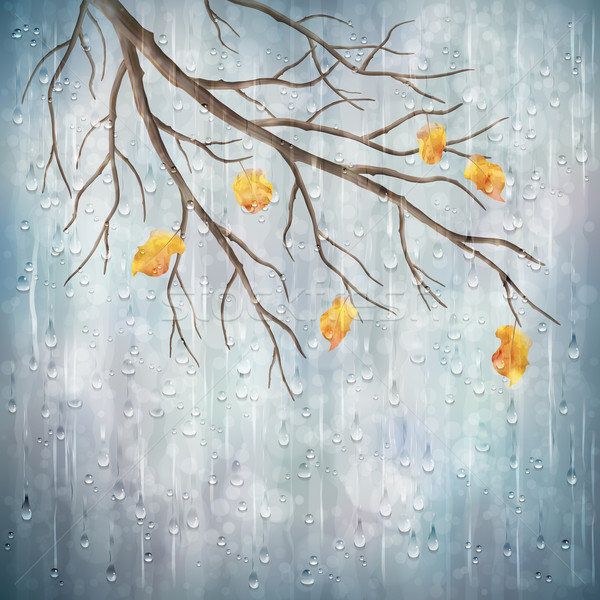 Vettore autunno pioggia Meteo artistico naturale Foto d'archivio © kostins