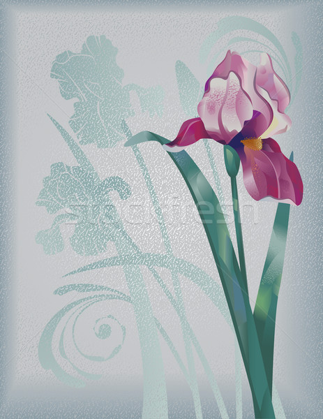 [[stock_photo]]: Iris · silhouette · fleur