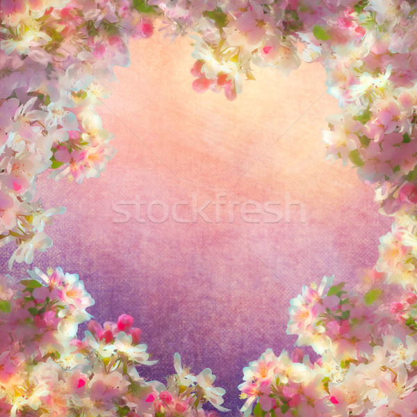 Spring Cherry Blossom Painting Stock photo © kostins