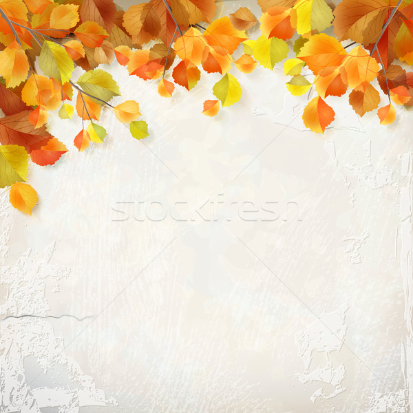 Vector autumn leaves plaster wall background Stock photo © kostins