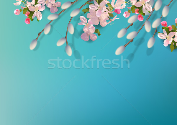 Voorjaar vector pussy wilg appel Stockfoto © kostins