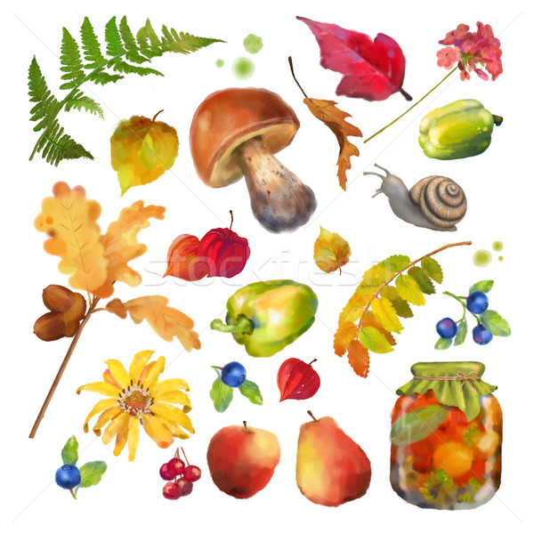 Stock photo: Autumn Watercolor Natural Collection