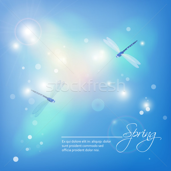 春 抽象的な 青 ベクトル 空 太陽 ストックフォト © kostins
