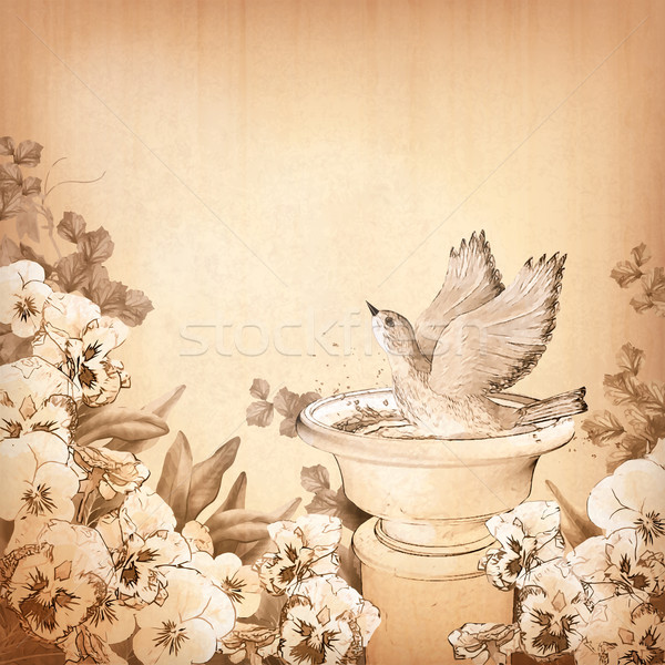 Pencil hand drawing bird in bath and pansy flower Stock photo © kostins