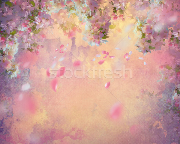 Stock photo: Spring Cherry Blossom Painting