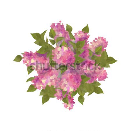 Top View Bouquet of Lilac Stock photo © kostins