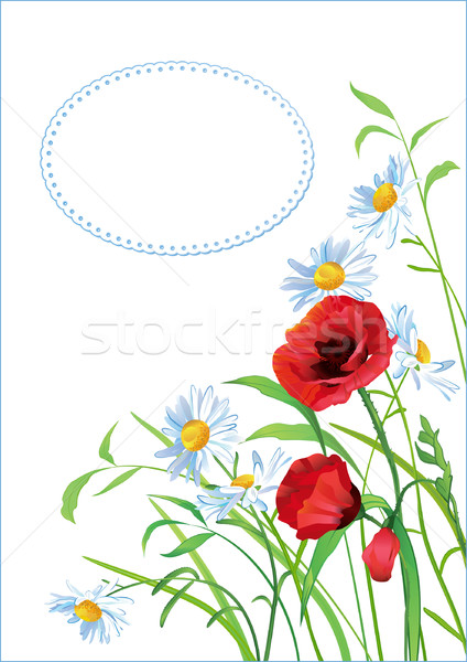 Grußkarte farbenreich Blumen Stelle Text Papier Stock foto © kostins