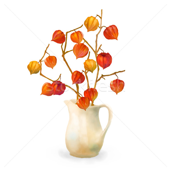 Physalis Watercolor Illustration Stock photo © kostins