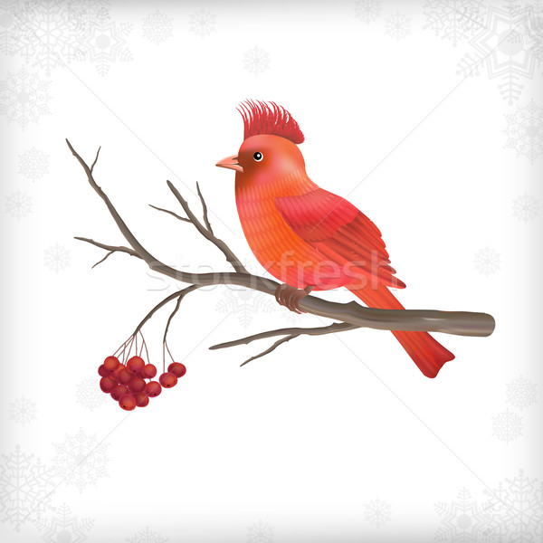 Winter Christmas Bird Rowan Tree Branches Stock photo © kostins