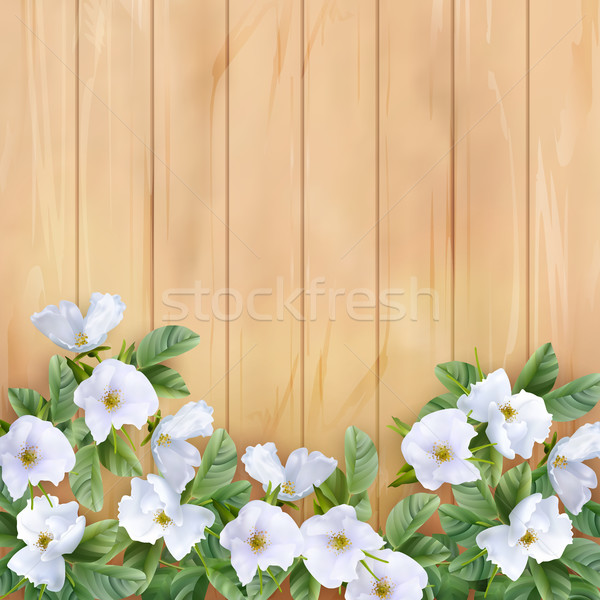 Flores brancas vetor perfeito casamento saudação Foto stock © kostins