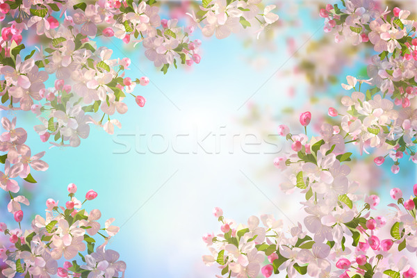 Primavera fiore di ciliegio vettore sakura ramo primavera Foto d'archivio © kostins
