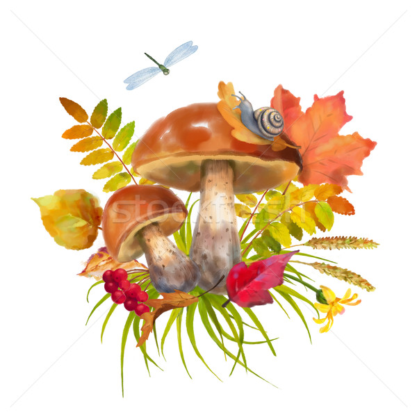 Couleur pour aquarelle automne champignons fleurs automne laisse Photo stock © kostins