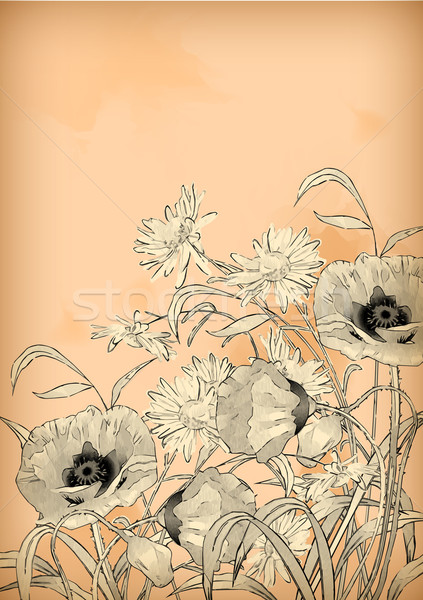 Watercolor Pencil Hand Drawing Flowers Stock photo © kostins