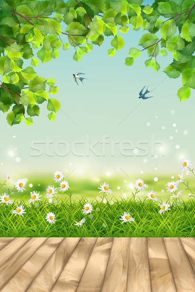 Vektor Sommer Landschaft Gras Blumen Baum Stock foto © kostins