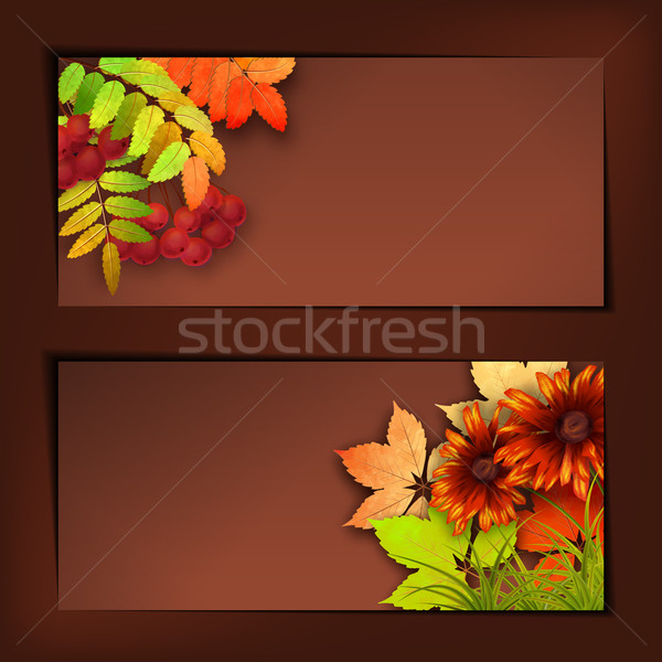 Autumn Vector Fall Leaves Stock photo © kostins