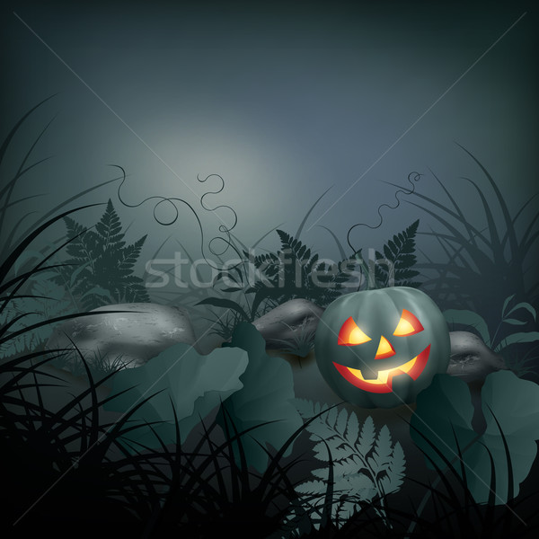 Halloween vektor éjszakai jelenet sütőtök kövek páfrány Stock fotó © kostins