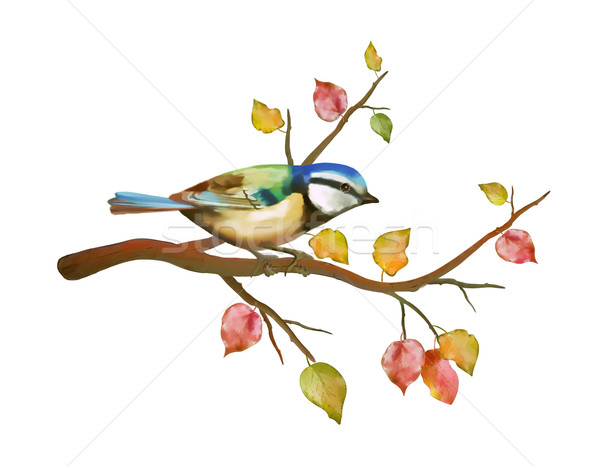 Watercolor bird tit on autumn branch Stock photo © kostins