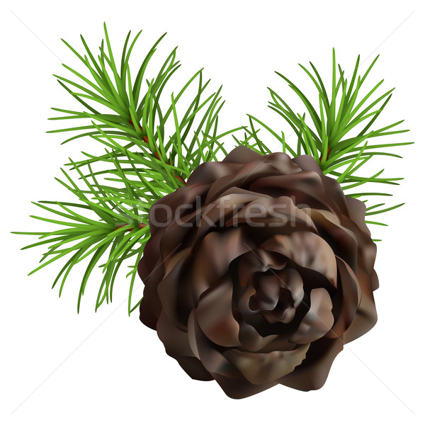 Christmas branch hanging pine cone Stock photo © kostins