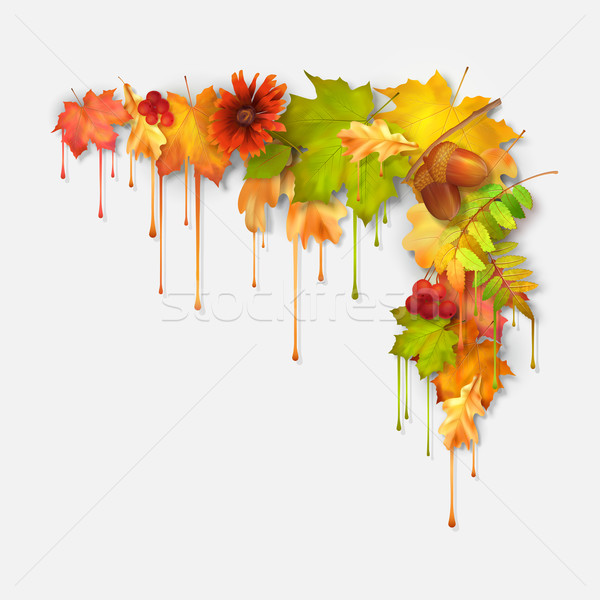 Autumn Vector Dripping Paint Leaves Stock photo © kostins