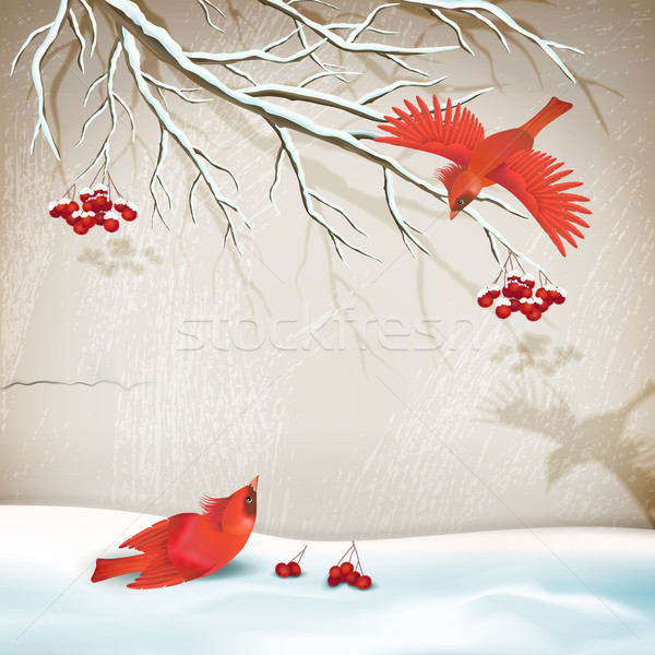 Winter Landscape with Birds Stock photo © kostins