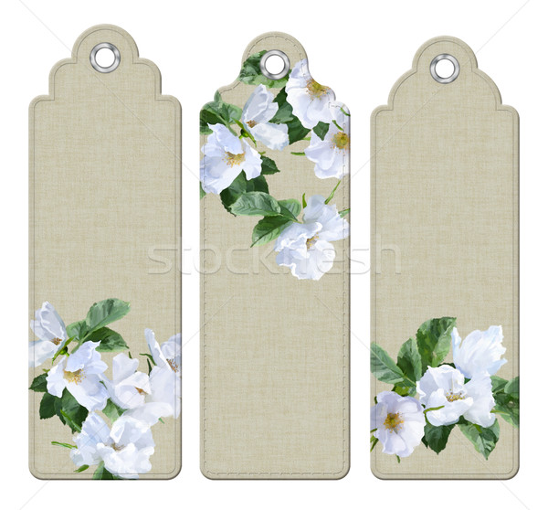 Vízfesték festmény virágok könyvjelző szett dekoratív Stock fotó © kostins