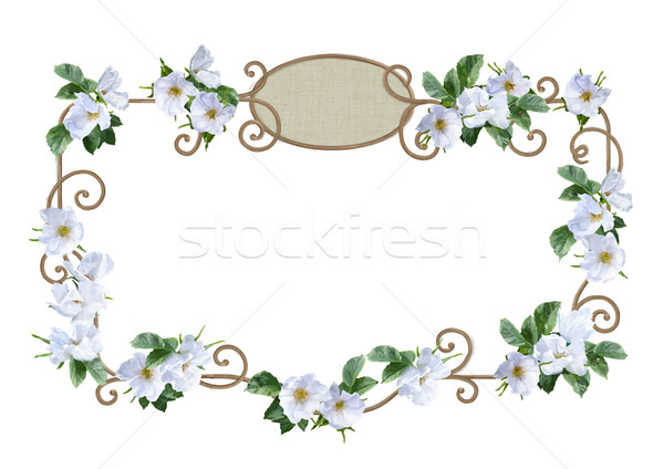 Сток-фото: акварель · цветок · кадр · декоративный · Живопись · белый