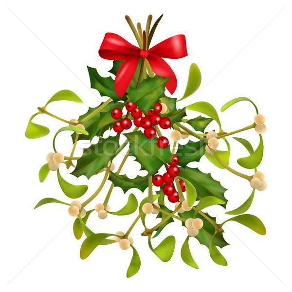 聖誕節 槲寄生 花束 掛 紅色 弓 商業照片 © kostins