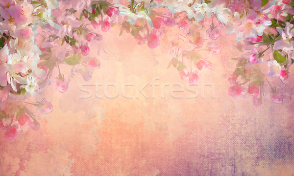 Spring Cherry Blossom Painting Stock photo © kostins