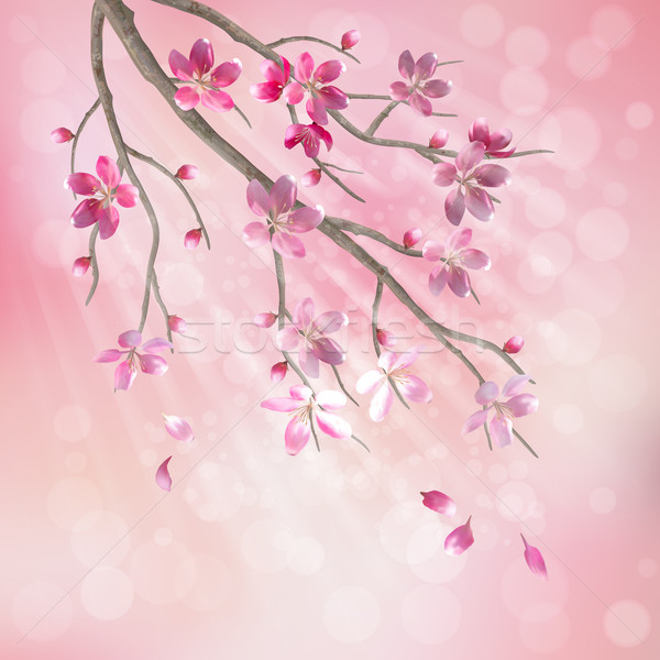 Spring vector tree branch cherry blossom flowers Stock photo © kostins