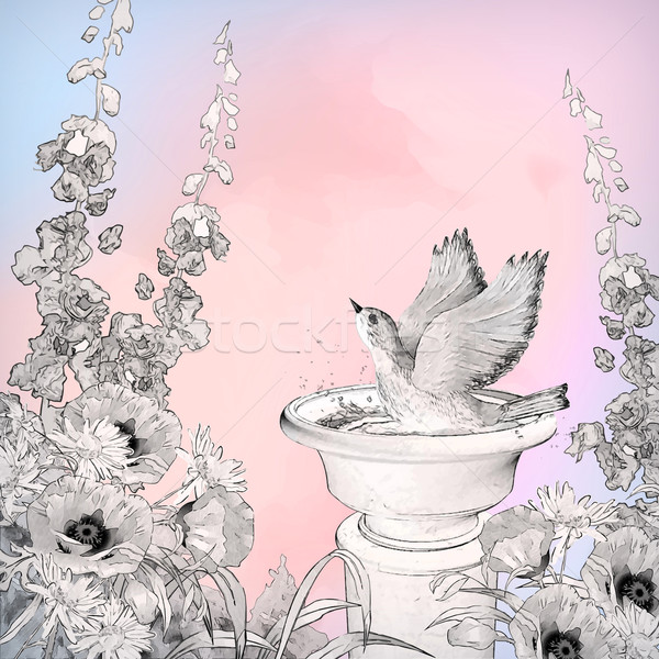 Vector Watercolor Bird Bath Sketch Flowers Stock photo © kostins