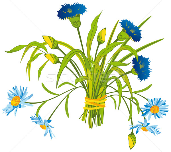 Field Flowers Stock photo © kostins
