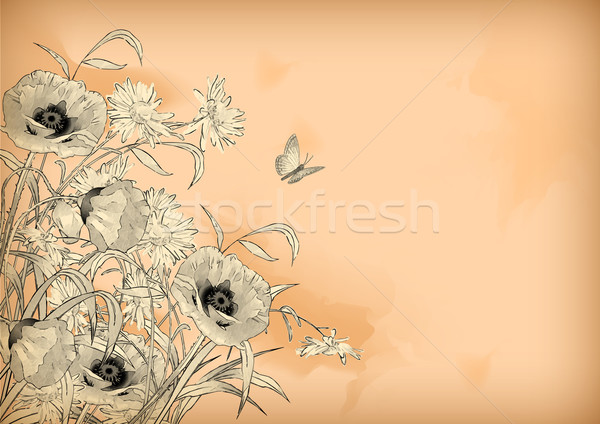 Watercolor Pencil Drawing Flowers Butterfly Stock photo © kostins
