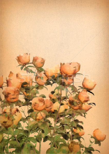 ベクトル 花 水彩画 バラ 茂み 手描き ストックフォト © kostins
