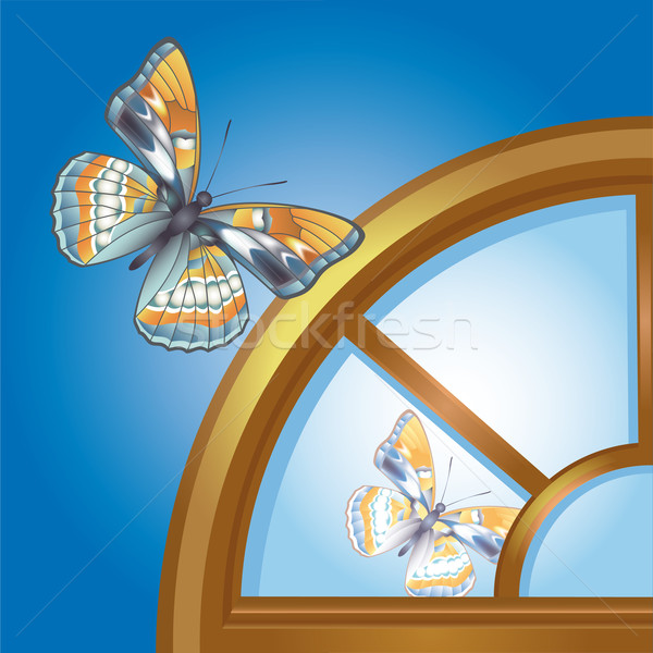 Window. Butterfly. Stock photo © kostins
