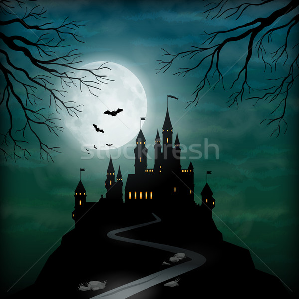 Fantasy Vector Castle Moonlight Sky Stock photo © kostins