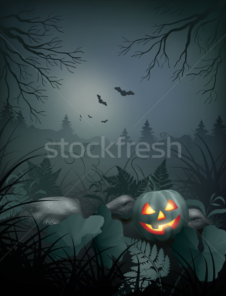 Halloween vektor éjszakai jelenet sütőtök kövek páfrány Stock fotó © kostins