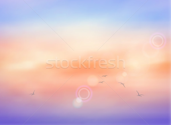 Wolk hemel vector wolken zonsopgang vogels Stockfoto © kostins