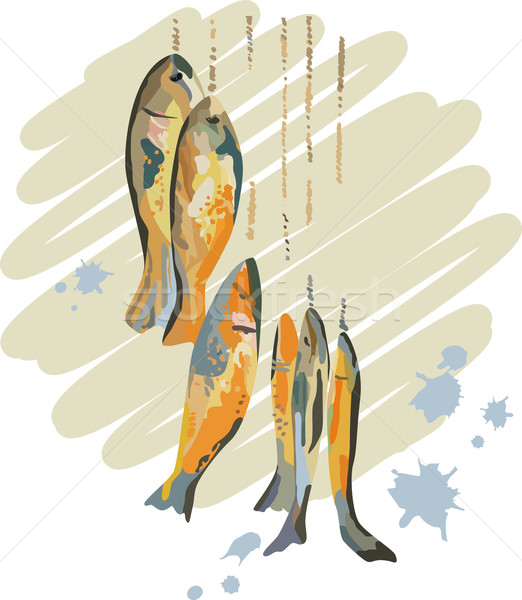 Catch of Fish Stock photo © kostins