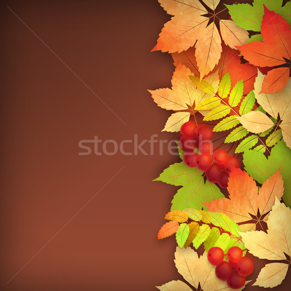 Autumn Vector Fall Leaves Stock photo © kostins
