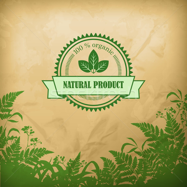 Natural Organic Herbal Vector Composition Stock photo © kostins
