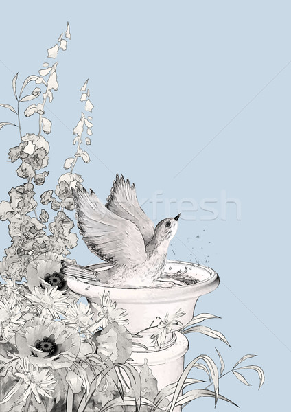 Vector Bird Bath Sketch Flowers Stock photo © kostins