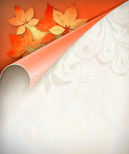 Autumn Vector Corner Card Stock photo © kostins
