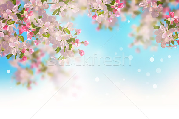 Bahar kiraz çiçeği vektör sakura şube bahar Stok fotoğraf © kostins