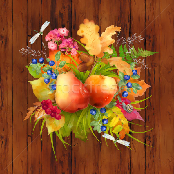 акварель осень яблоко груши цветы дуб Сток-фото © kostins