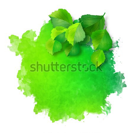 Vector aquarel plek groene bladeren abstract ruw Stockfoto © kostins