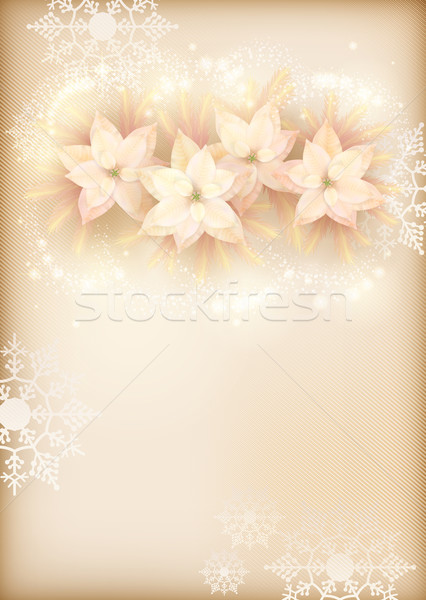 Christmas Poinsettias Celebration Background Stock photo © kostins