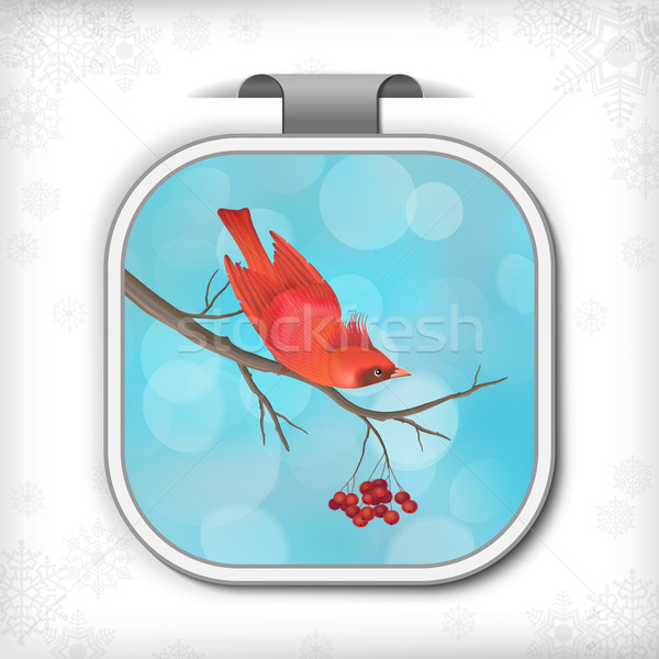 Winter Christmas Sticker Bird Rowan Tree Branch Stock photo © kostins