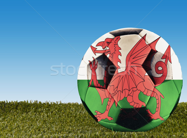 Welsh football Stock photo © Koufax73