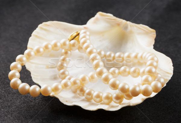 Pearls in shell Stock photo © Koufax73