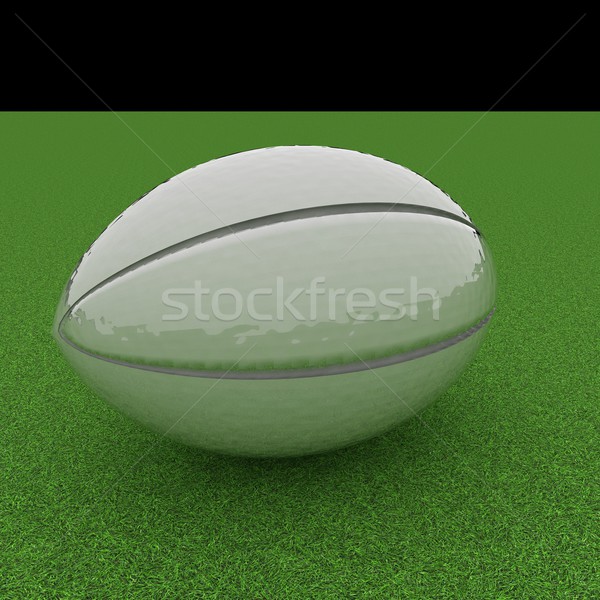 ラグビーボール 緑の草 フィールド 3dのレンダリング 広場 画像 ストックフォト © Koufax73